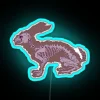 Anatomy of a Hare Neon Sign Art Transparent RGB Design