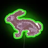 Unique Transparent Neon Sign Featuring Hare Anatomy Artwork Design