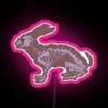 Transparent RGB neon light sculpture featuring hare anatomical details.