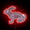 Neon anatomy of a hare in transparent RGB glow art.