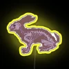 Transparent RGB Neon Sign with Hare Anatomy Design Illumination Artwork
