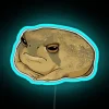 Brighten up your space with this angry rain frog glow