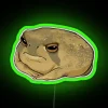 Add whimsical ambiance with Angry Rain Frog LED neon signage.