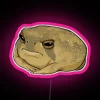 Vibrant hand-painted Angry Rain Frog RGB neon art wall decoration