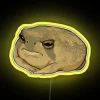 Interactive Color-Changing Angry Rain Frog LED Light Sign Installation Artwork