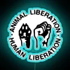 Neon activism display promoting animal and human freedom equality movement.