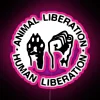 Animal and Human Rights Activism Rainbow Neon Sign Display Art Piece