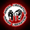 Activism Empowerment Symbol with Vibrant Colors and Edgy Neon Glow