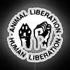 Animal rights advocacy human freedom equality neon art decorative wall.