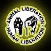 Animal rights advocacy and social justice liberation statement LED display.