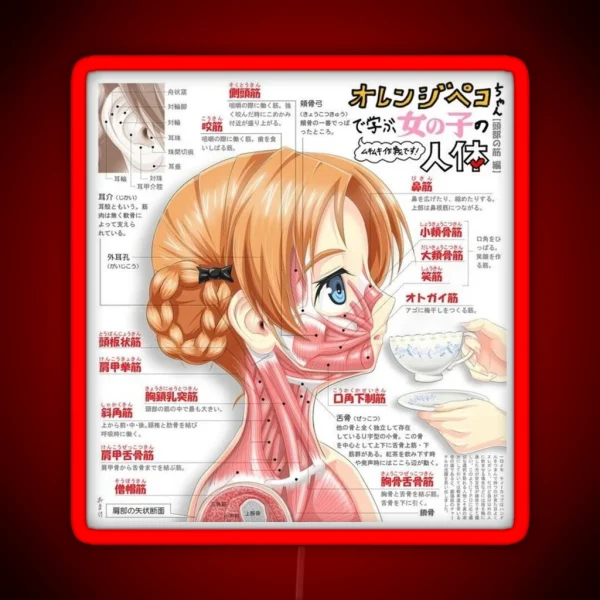 Anime Girl Anatomy RGB Neon Sign
