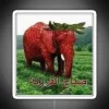 Customizable Arabic Strawberry Elephant Meme Neon Sign in Bright RGB Colors
