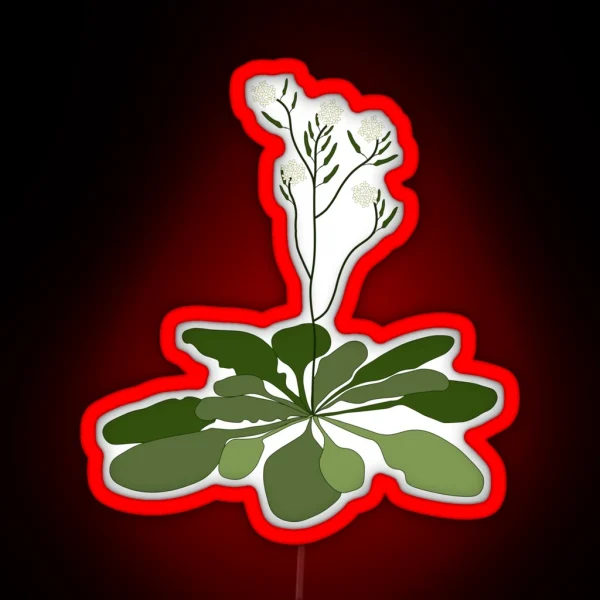 Arabidopsis STEM Experiment Floral Illustration RGB Neon Sign