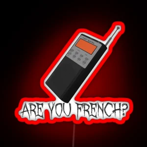 Are You French Insym Phasmophobia Funny Led RGB Neon Sign