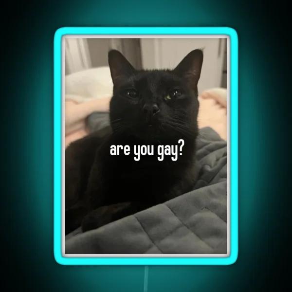 Are You Gay Luna RGB Neon Sign