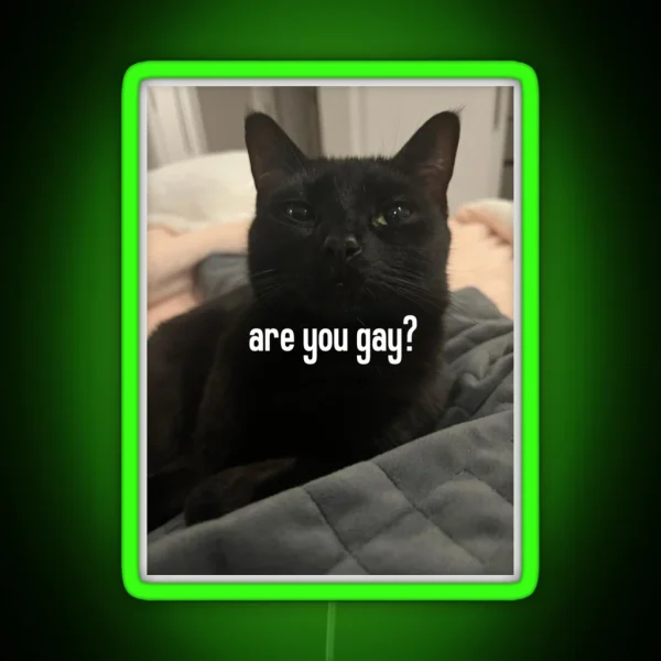 Are You Gay Luna RGB Neon Sign