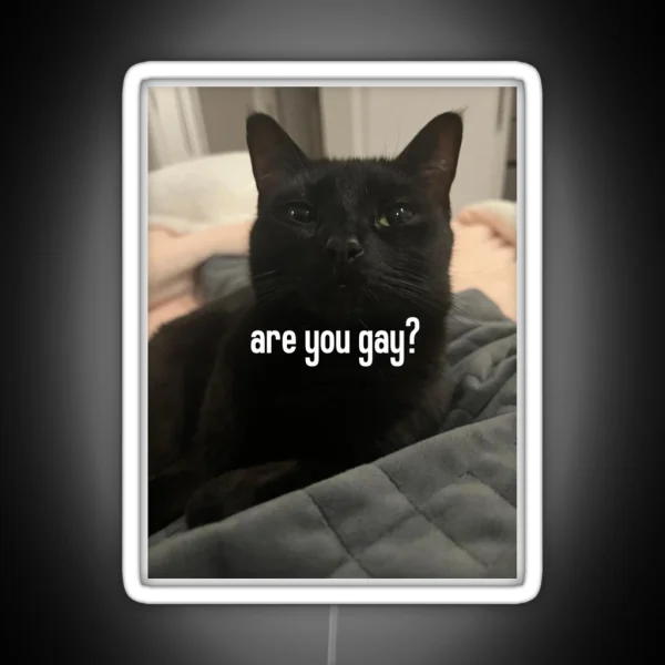 Are You Gay Luna RGB Neon Sign