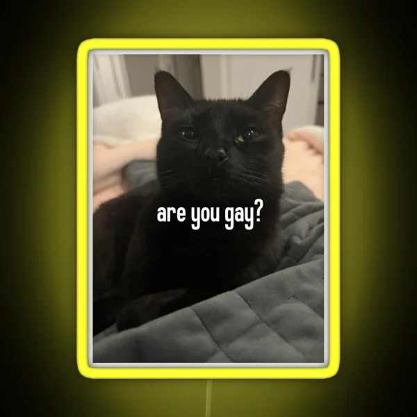 Are You Gay Luna RGB Neon Sign