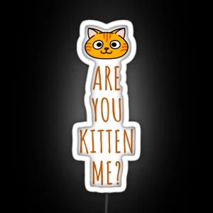 ARE YOU KITTEN ME Led RGB Neon Sign