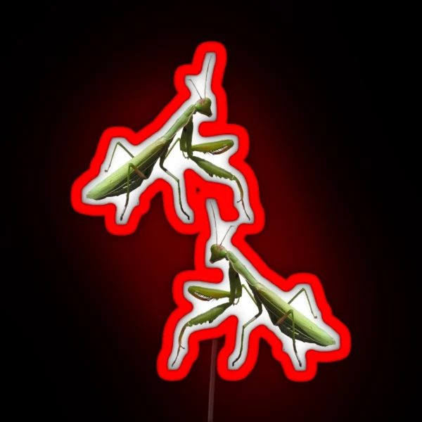 Are You Looking At Me RGB Neon Sign