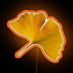 Autumn Ginkgo Biloba Art Photography Autumnal Ginkgo Leaf Yellow RGB Neon Sign