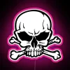 RGB LED digital art display with colorful awesome skull design