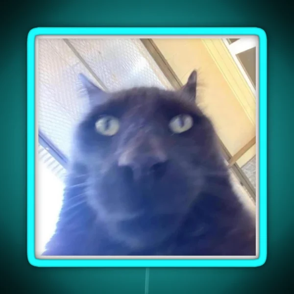 Awkward Black Cat To Stare At You RGB Neon Sign