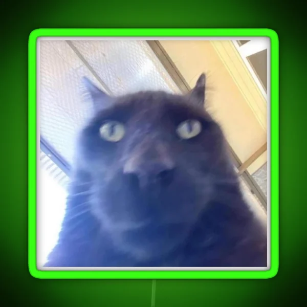 Awkward Black Cat To Stare At You RGB Neon Sign