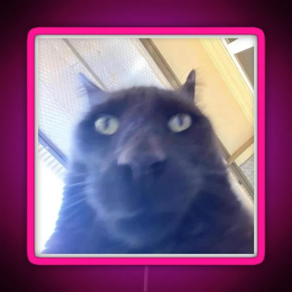 Awkward Black Cat To Stare At You RGB Neon Sign
