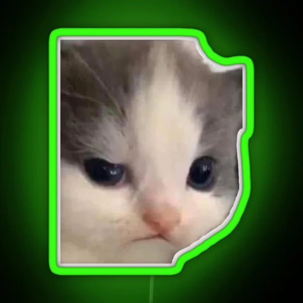 Awkward Cat RGB Neon Sign