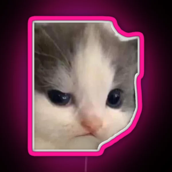 Awkward Cat RGB Neon Sign