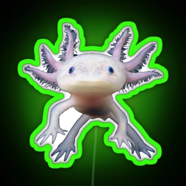 Axolotl Animal Funny And Cute Salamander Fish Design For Kids Teens Boys Men Adults Girls RGB Neon Sign