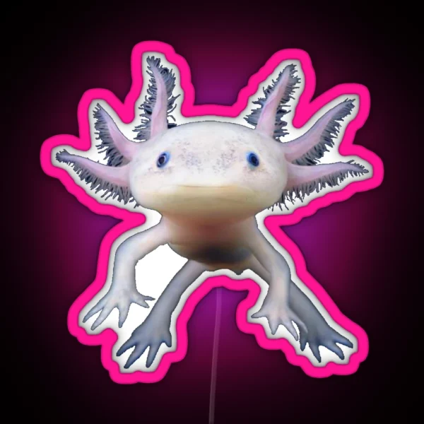 Axolotl Animal Funny And Cute Salamander Fish Design For Kids Teens Boys Men Adults Girls RGB Neon Sign