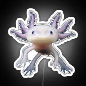 Axolotl Animal Funny And Cute Salamander Fish Design For Kids Teens Boys Men Adults Girls RGB Neon Sign