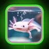 Axolotl Art 30 Axolotl Lovers RGB Neon Sign - Image 3