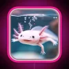 Axolotl Art 30 Axolotl Lovers RGB Neon Sign - Image 6