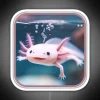 Axolotl Art 30 Axolotl Lovers RGB Neon Sign - Image 4