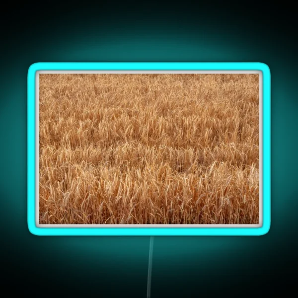 Barley Field RGB Neon Sign