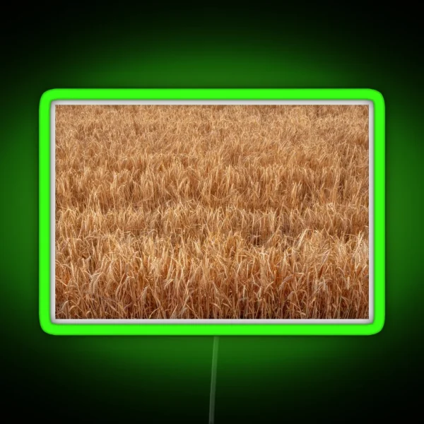 Barley Field RGB Neon Sign