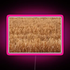 Barley Field RGB Neon Sign