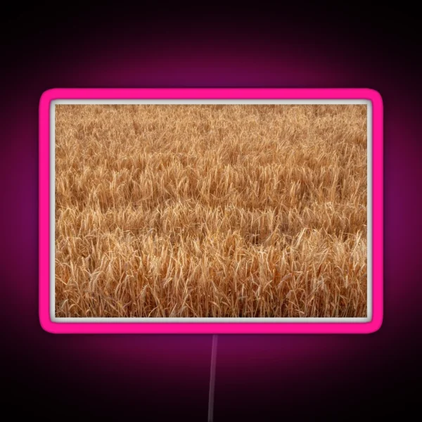Barley Field RGB Neon Sign