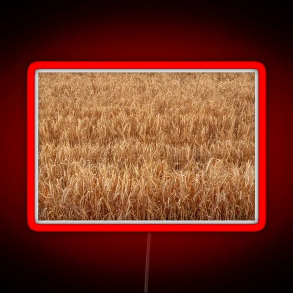 Barley Field RGB Neon Sign