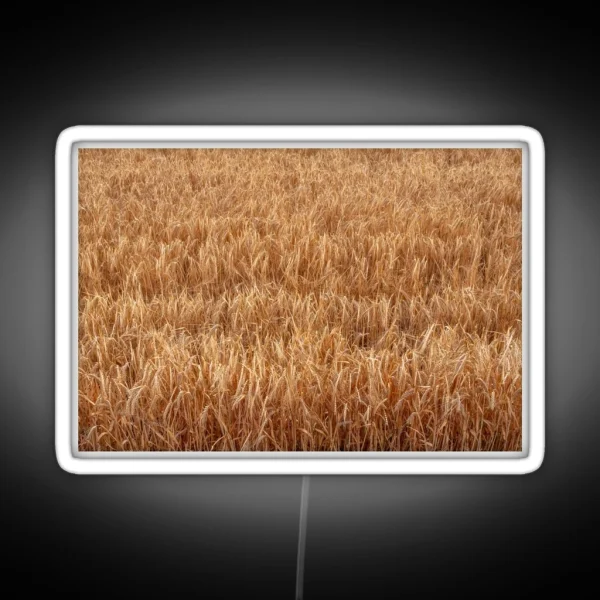 Barley Field RGB Neon Sign