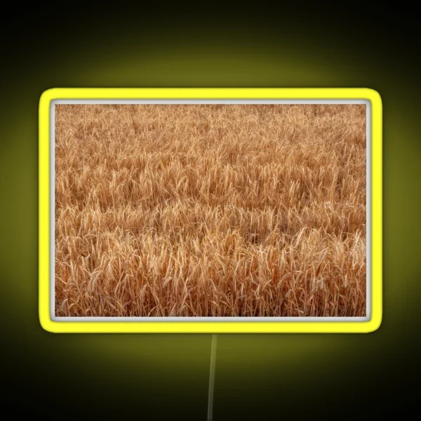 Barley Field RGB Neon Sign