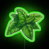 Brighten up your space with vibrant Basil RGB neon lighting