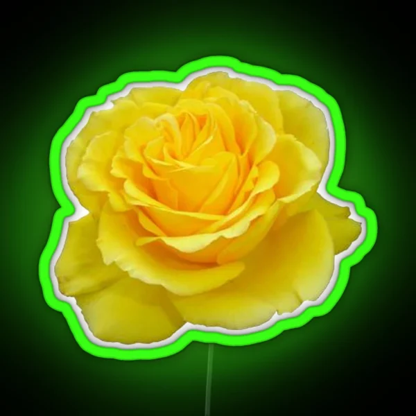 Beautiful Yellow Rose Closeup Photograph RGB Neon Sign