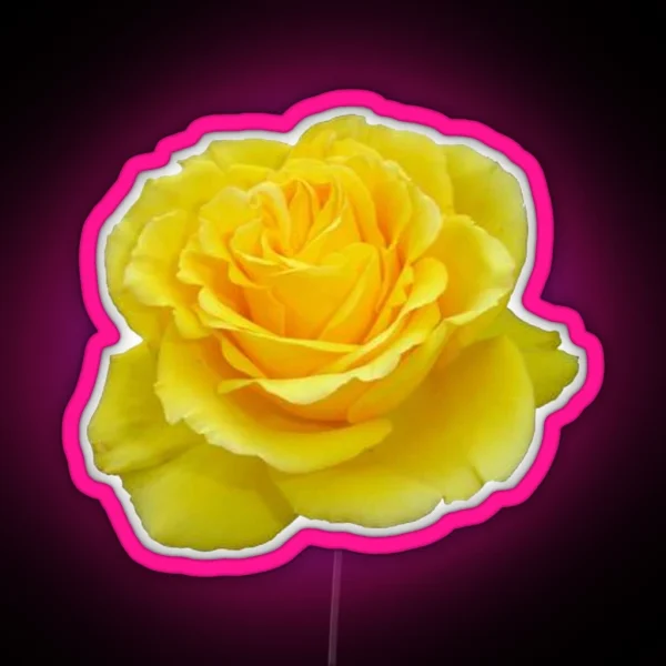 Beautiful Yellow Rose Closeup Photograph RGB Neon Sign