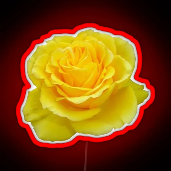 Beautiful Yellow Rose Closeup Photograph RGB Neon Sign