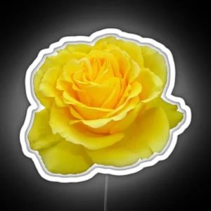 Beautiful Yellow Rose Closeup Photograph RGB Neon Sign