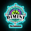 RGB Neon Sign Decorative Wall Art Island Getaway Vibes Bimini